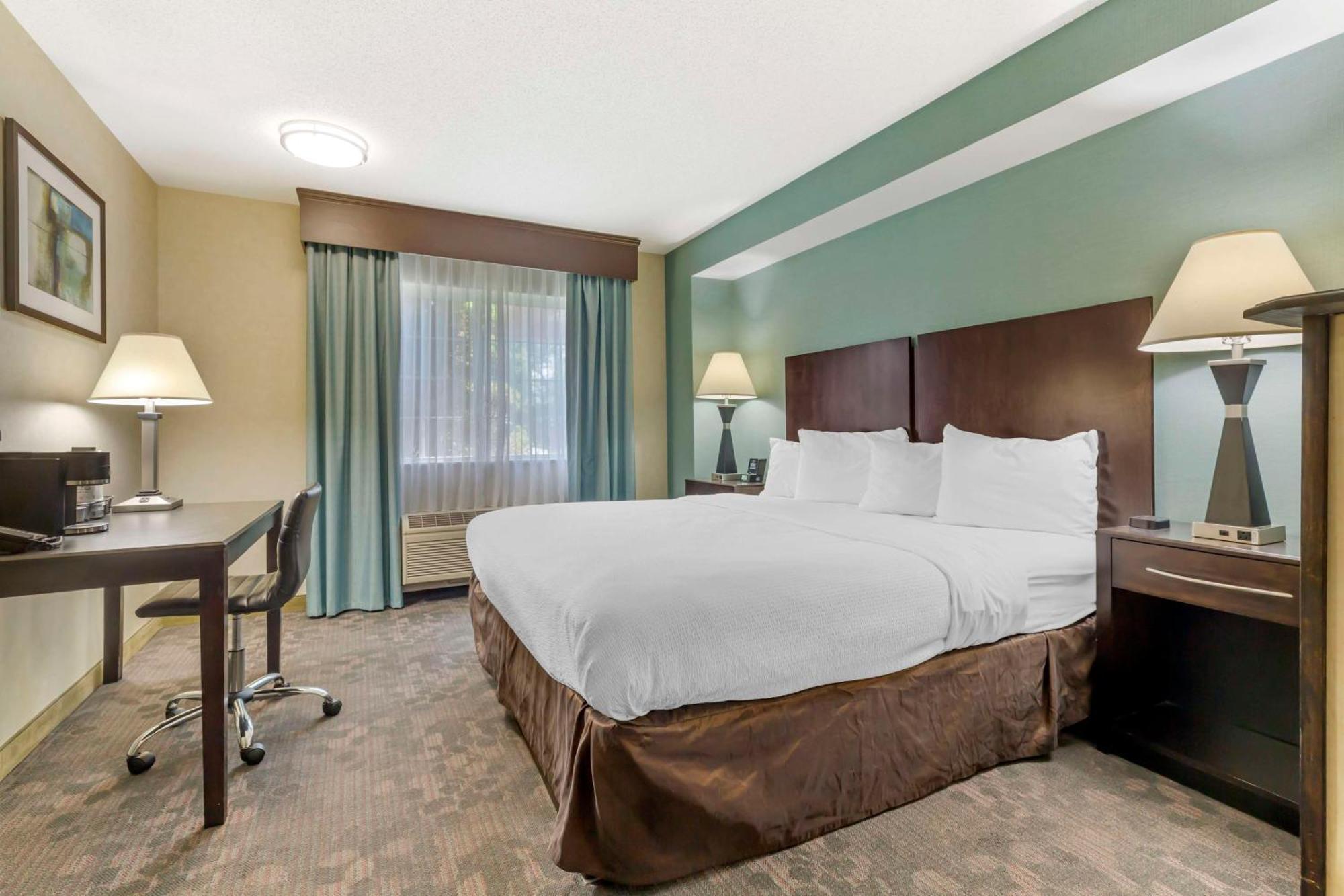 Best Western Plus Berkshire Hills Inn & Suites Pittsfield Exterior foto